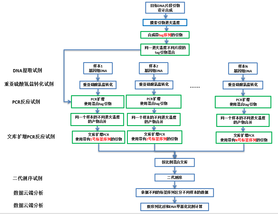 亚硫酸盐多重扩增子测序（BSMAS）（候选位点DNA甲基化检测）.png