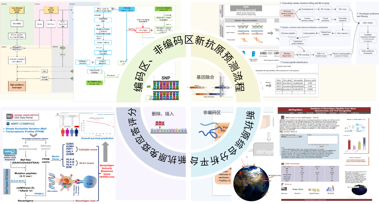 1750820587973655.png 多组学融合与AI驱动的新抗原智能识别技术.png