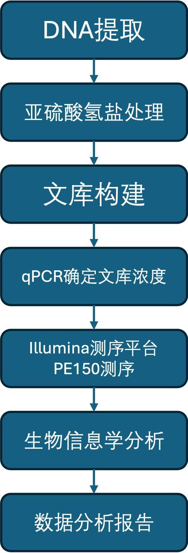 全基因组亚硫酸氢盐测序.jpg