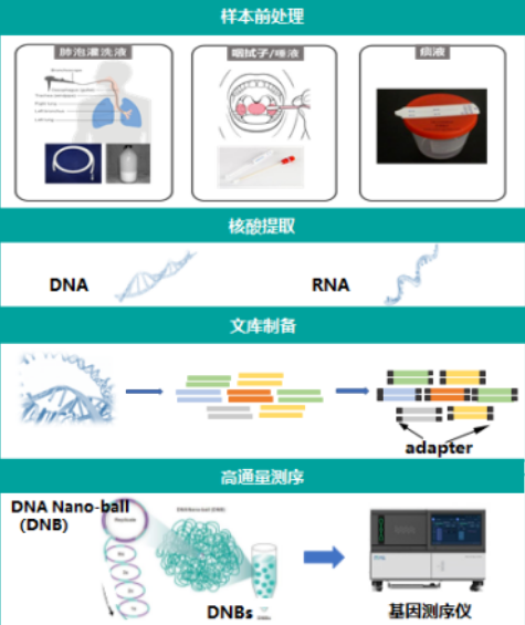 1765268114284673.png 单链病毒高通量测序.png