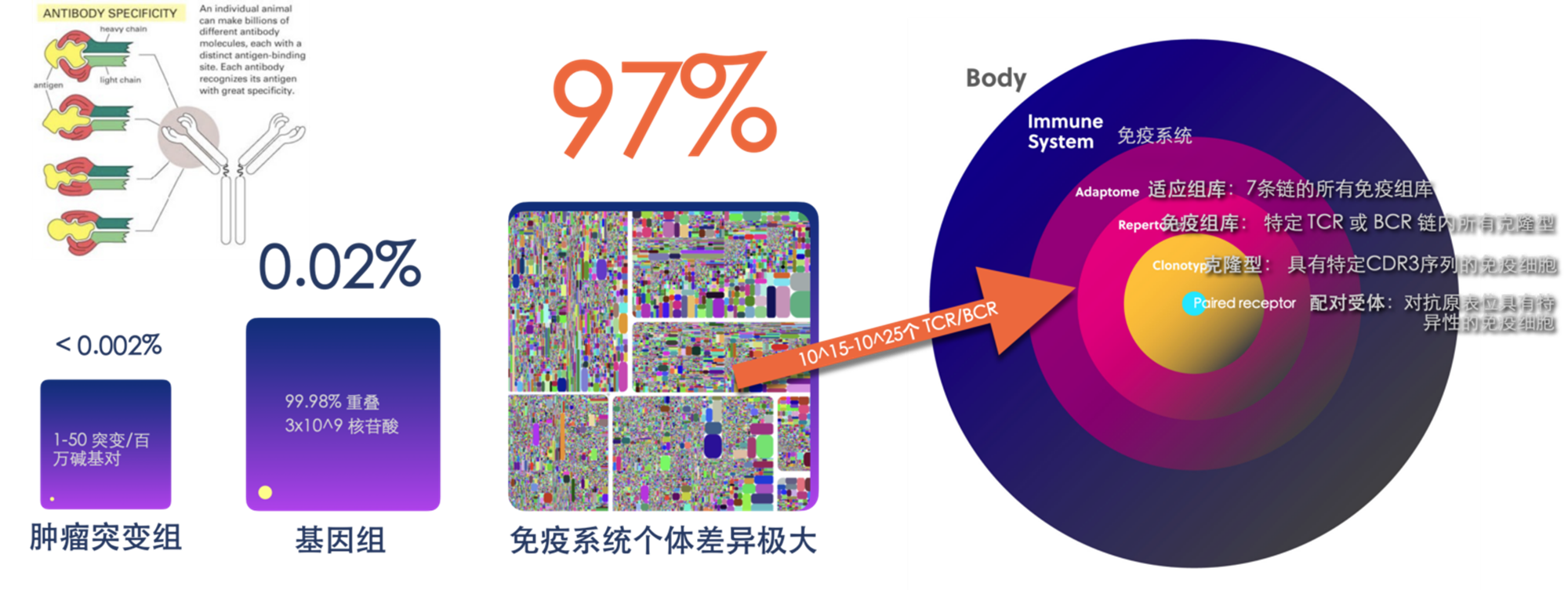 1774831312127485.jpg 微信图片_20260326143703_698_315.jpg